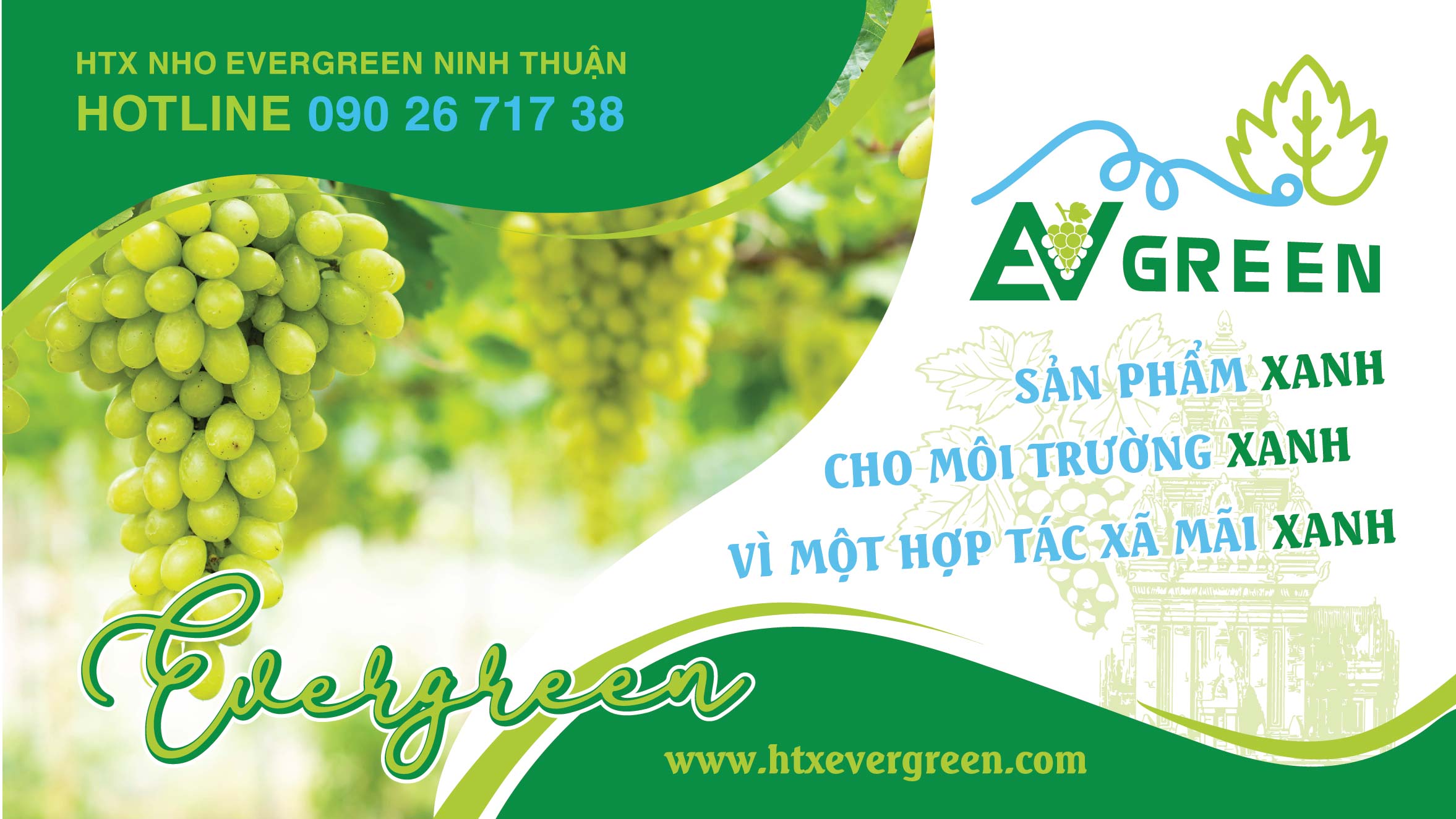BILLBOARD QC NGOÀI TRỜI HTX NHO EVERGREEN-01