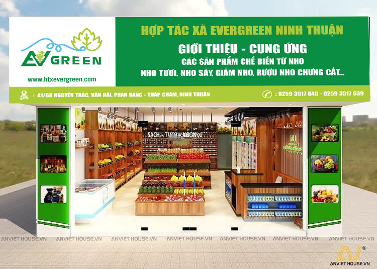 MH BẢNG HIỆU NHO EVERGREEN