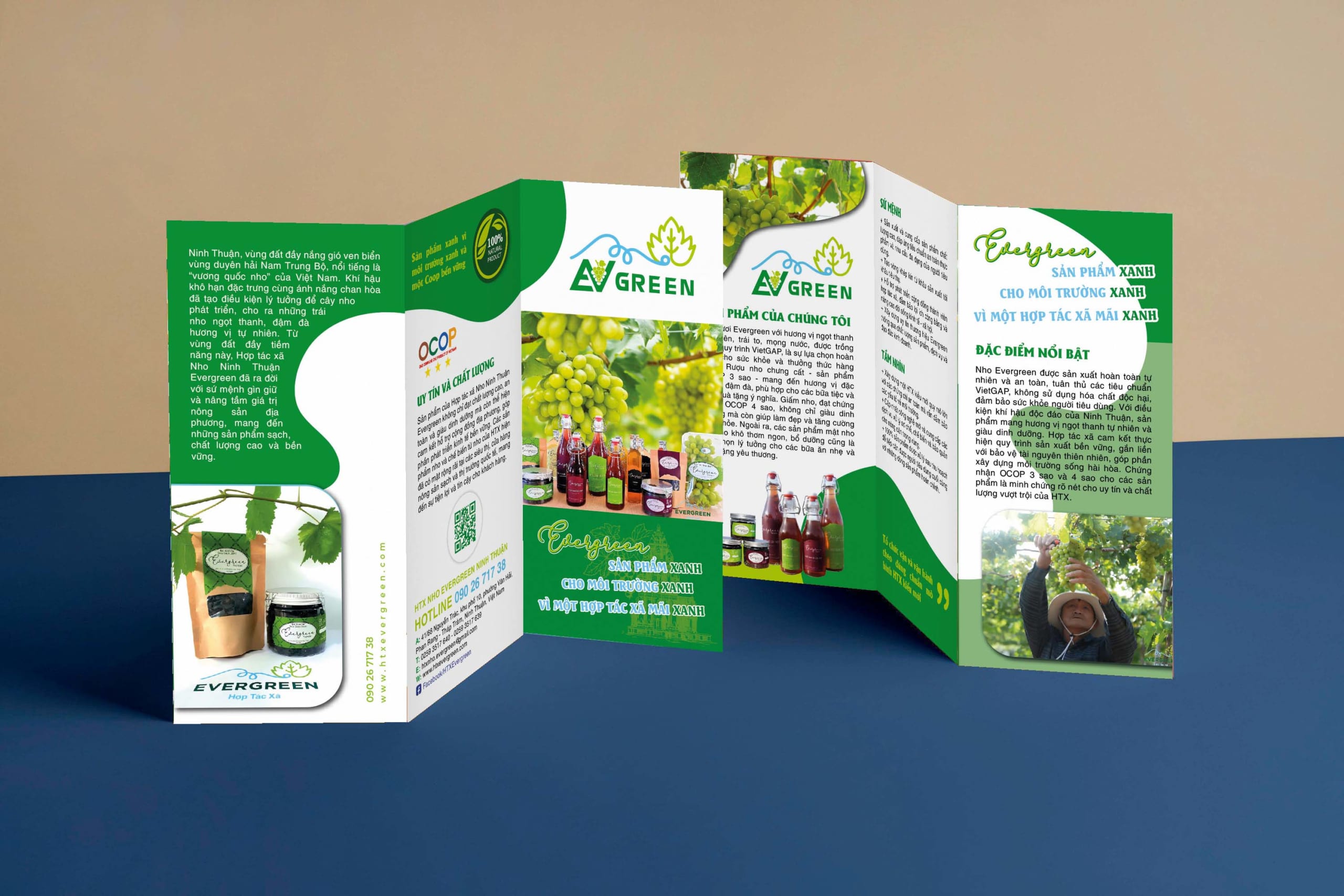 MH BROCHURE NHO EVERGREEN